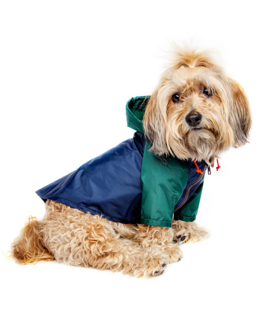 Color block Dog Rain breaker in Hunter Green & Navy