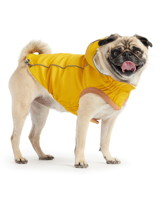 Insulated Dog Raincoat in Yellow