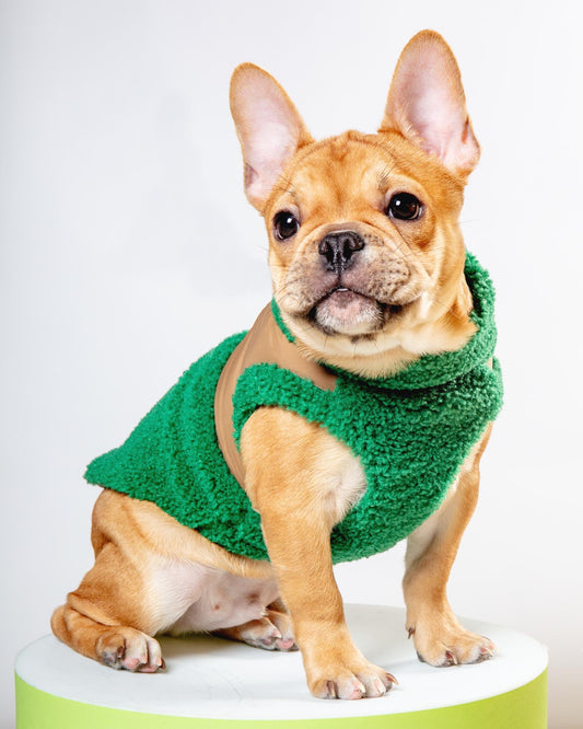 Harness Vest in Forest Green